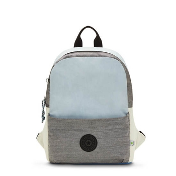 Grey Kipling Sonnie 15" Laptop Backpacks | AE647GRVA