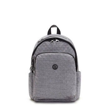 Silver Kipling Delia Classic Backpacks | AE341MPTA