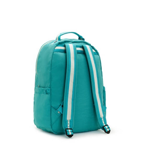 Mint Kipling Seoul Large 15