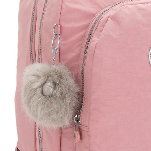 Pink Kipling Class Room 17