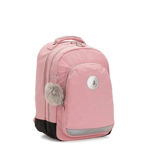 Pink Kipling Class Room 17