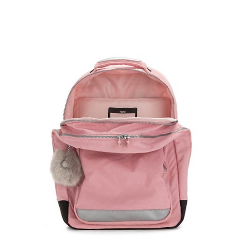 Pink Kipling Class Room 17