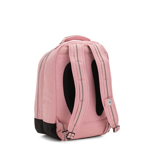 Pink Kipling Class Room 17