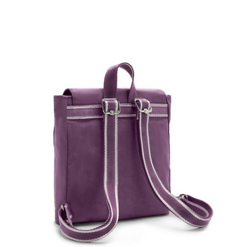 Purple Kipling Dannie Small Backpacks | AE307BSED