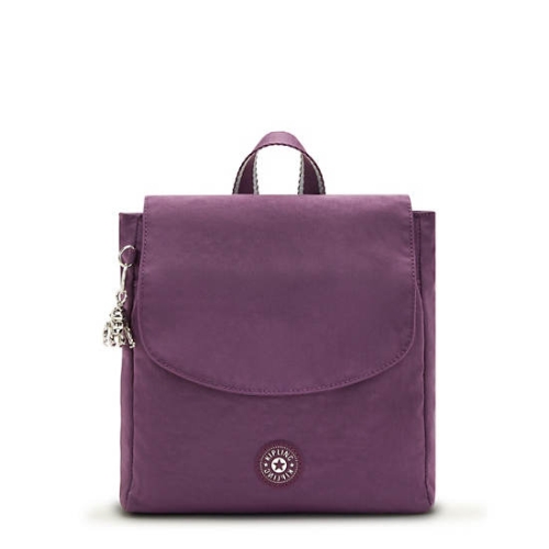 Purple Kipling Dannie Small Backpacks | AE307BSED