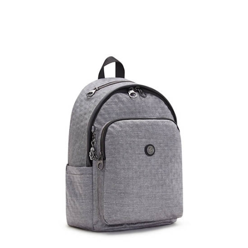 Silver Kipling Delia Classic Backpacks | AE341MPTA