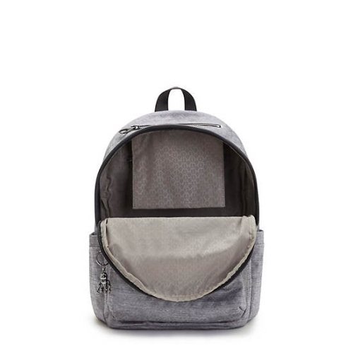 Silver Kipling Delia Classic Backpacks | AE341MPTA