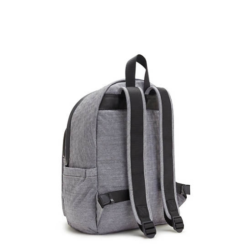 Silver Kipling Delia Classic Backpacks | AE341MPTA