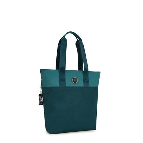 Turquoise Kipling Hanifa 15