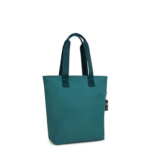 Turquoise Kipling Hanifa 15